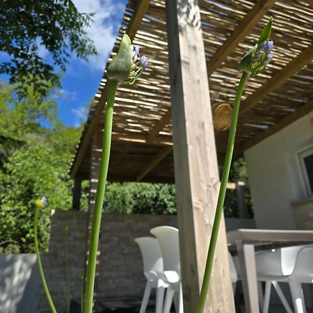 Petite Maison - Porto-Vecchio Villa Exterior photo